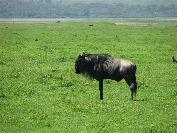 Танзания 2013 147